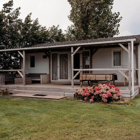 Chalet Tulpenweide - Recreatie Breezand Zewnętrze zdjęcie