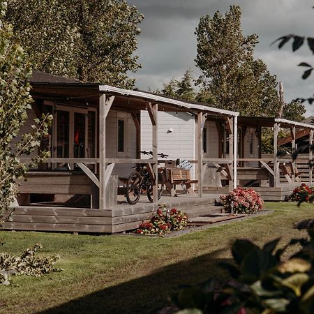 Chalet Tulpenweide - Recreatie Breezand Zewnętrze zdjęcie