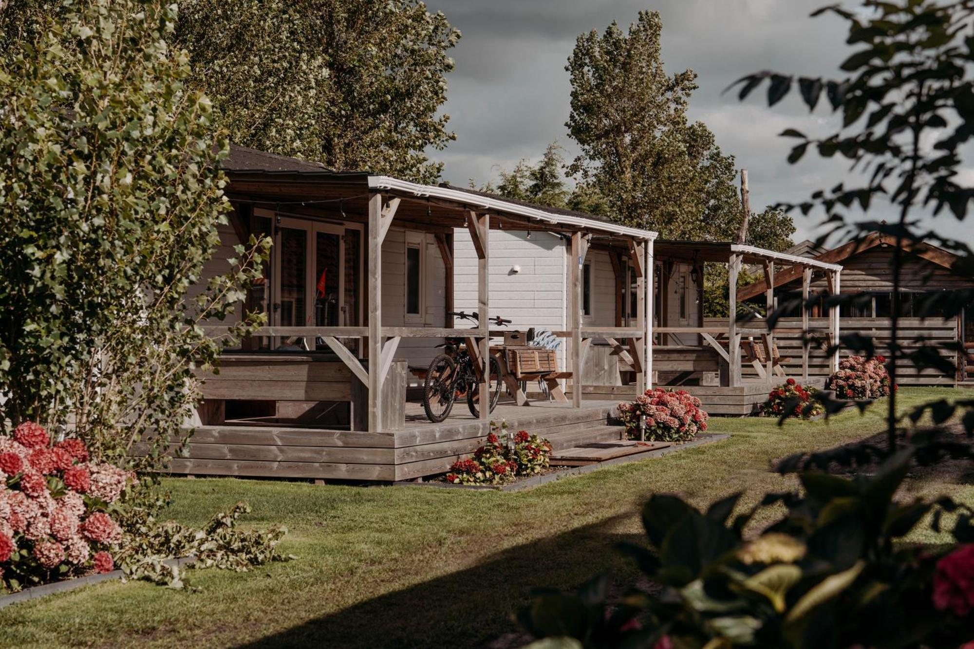 Chalet Tulpenweide - Recreatie Breezand Zewnętrze zdjęcie